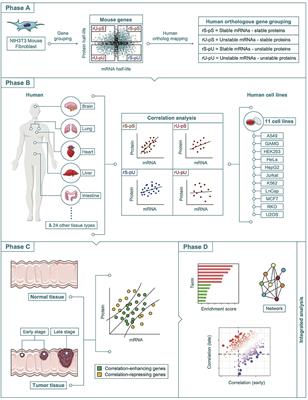 Alteration of Proteotranscriptomic Landscape Reveals the Transcriptional Regulatory Circuits Controlling Key-Signaling Pathways and Metabolic Reprogramming During Tumor Evolution